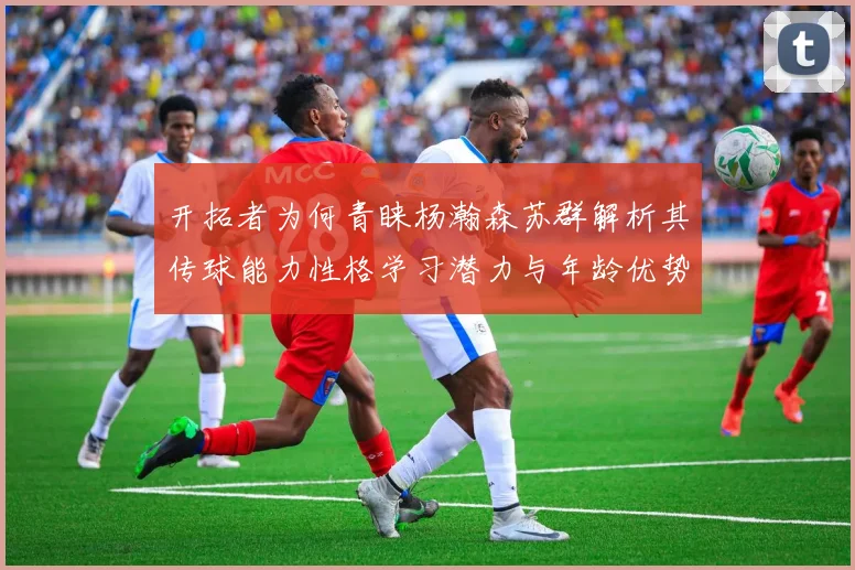 开拓者为何青睐杨瀚森苏群解析其传球能力性格学习潜力与年龄优势